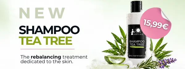 shampoo tea tree