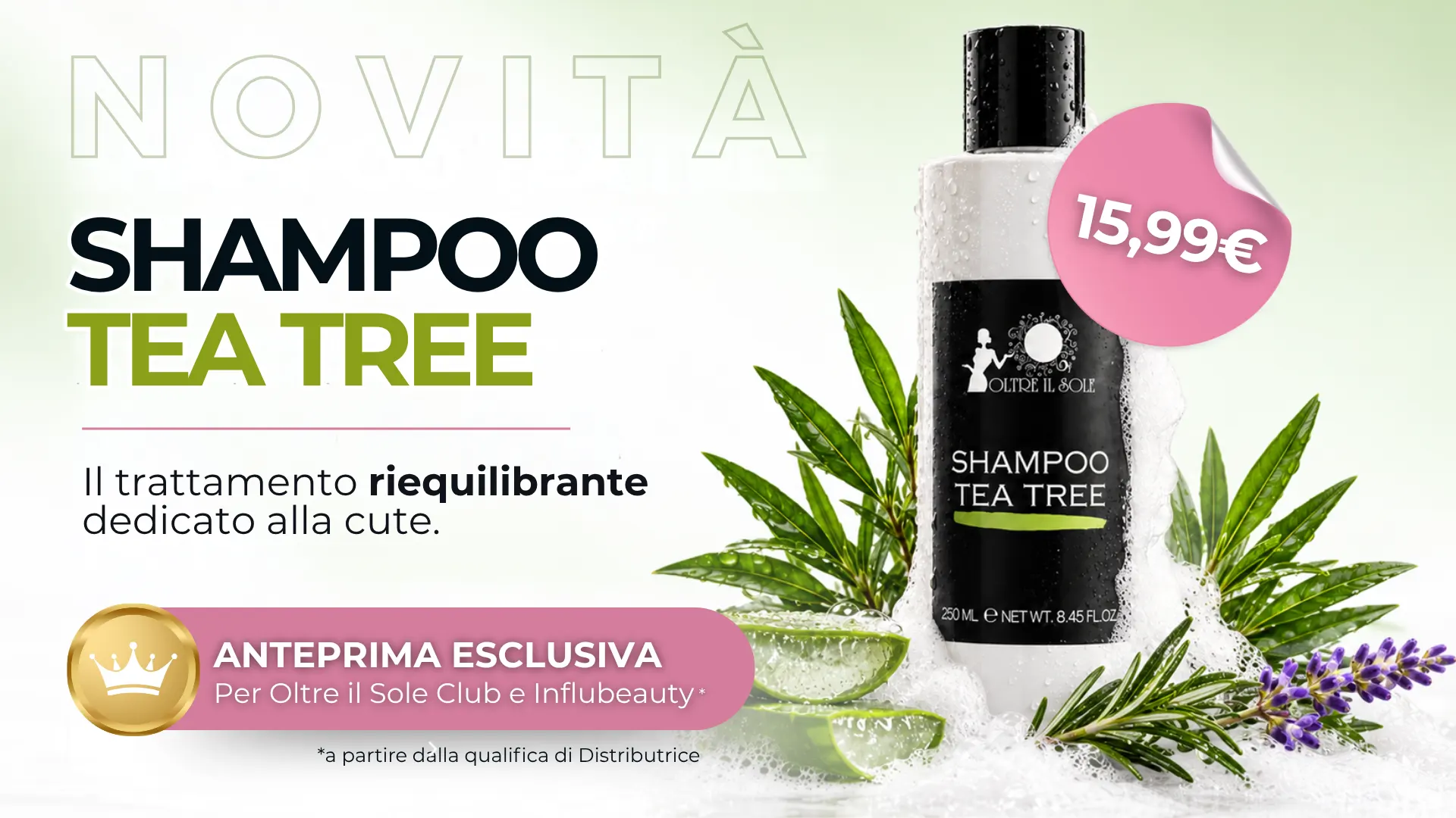 Shampoo Tea Tree